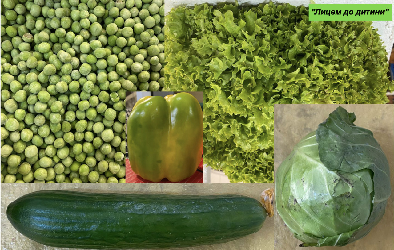 Овочі. Ярина. Городина. 3 клас